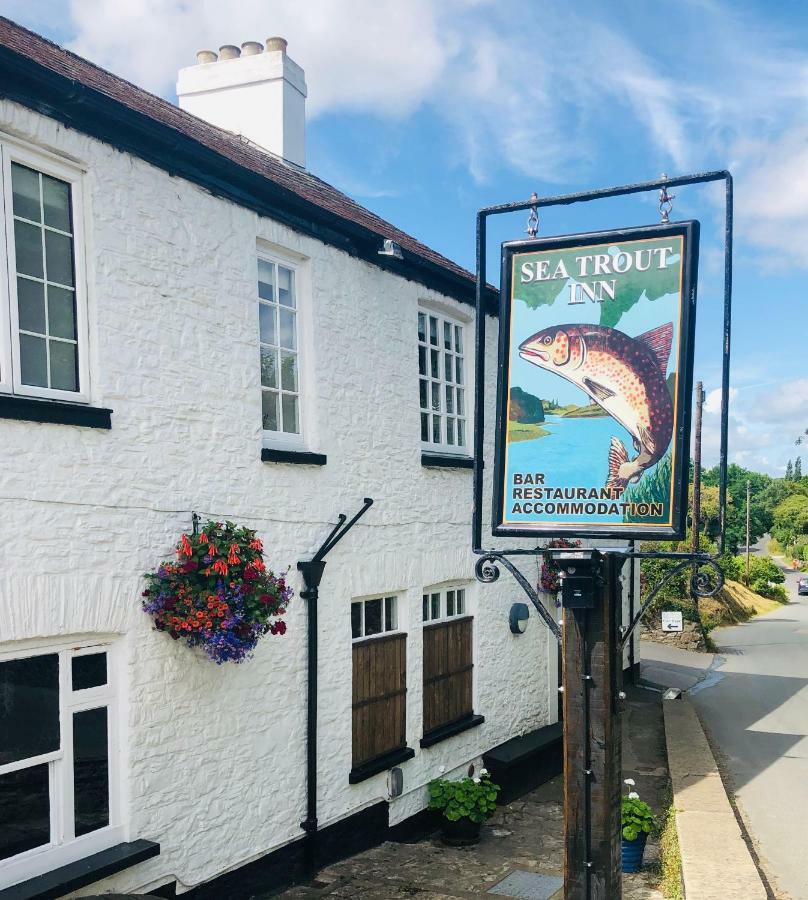 The Sea Trout Inn Totnes Buitenkant foto